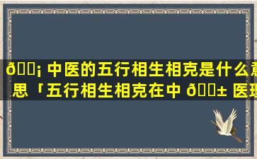 🐡 中医的五行相生相克是什么意思「五行相生相克在中 🐱 医理论中的应用是什么」